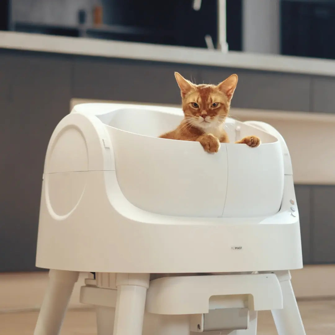 Petpivot Autoscooper 11 Open-Top Self-Cleaning Cat Litter Box，Odor-Free Waste Disposal Includes Trash Bags